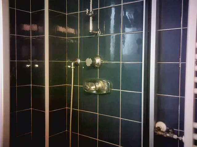 Leaks in the shower area