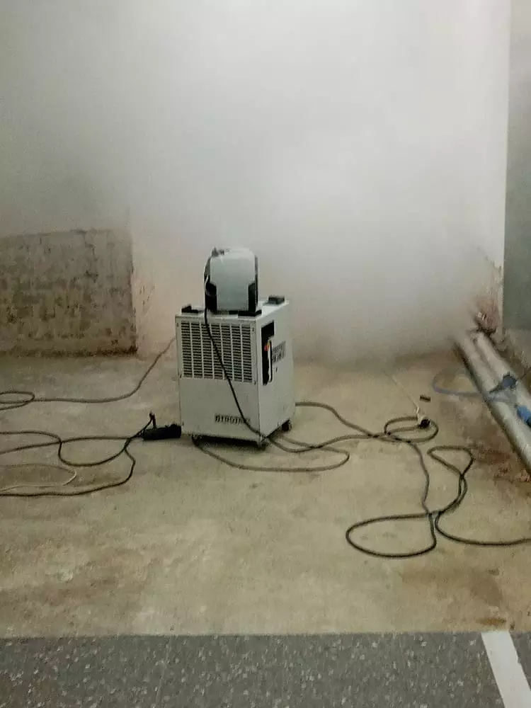 Mould treatment by Regidor GmbH in Ratingen